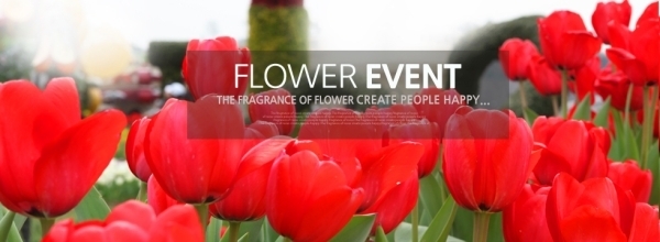 �Ұ��̹���