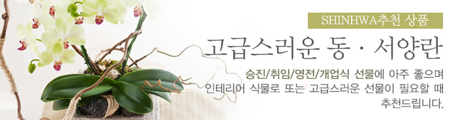 �����̹���