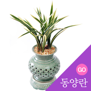 ������ ī�װ��� #3