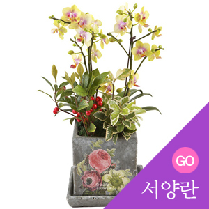 ������ ī�װ��� #4