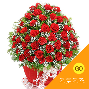 �뵵�� ī�װ��� #2