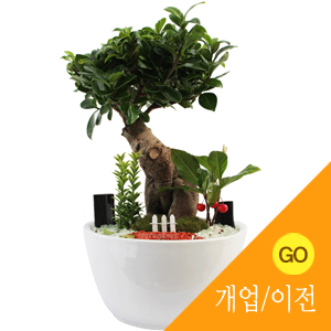 �뵵�� ī�װ��� #3