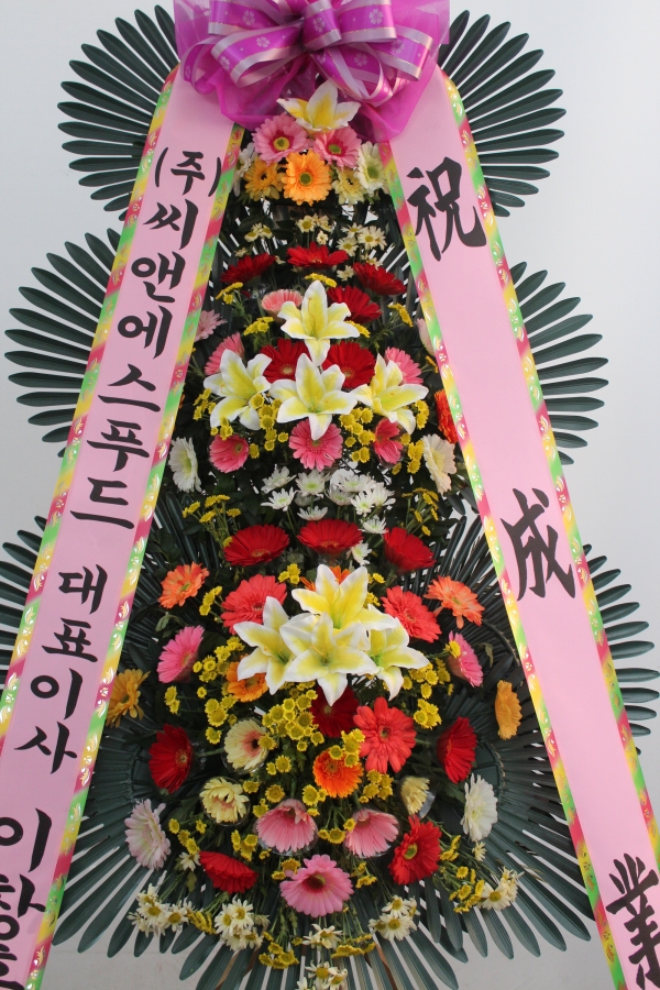 챤 