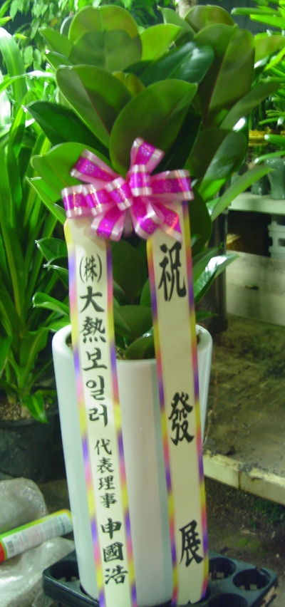 뿭 
