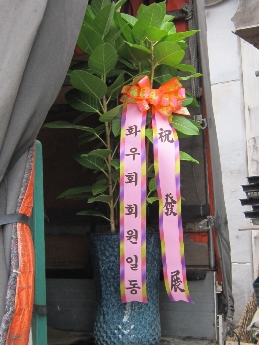 缷 