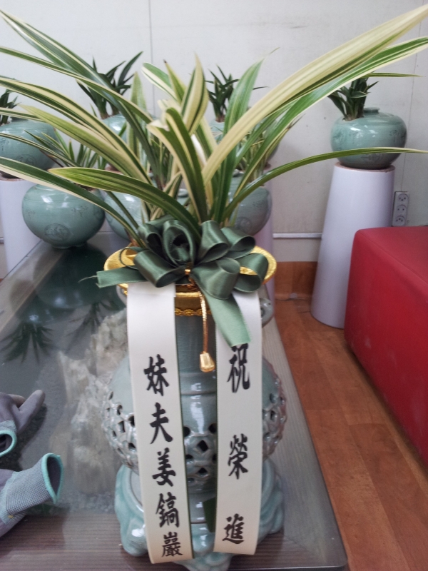 赿 