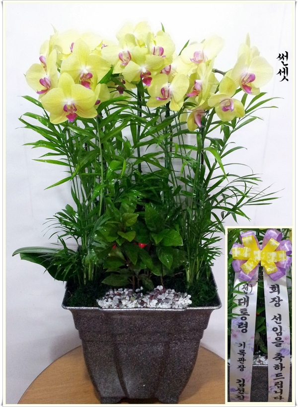 輱 
