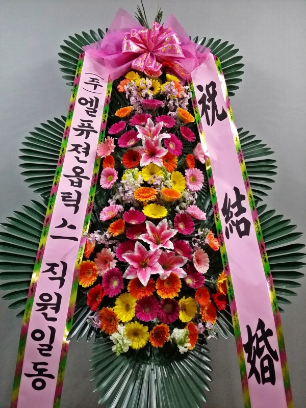 ڿ뼱 