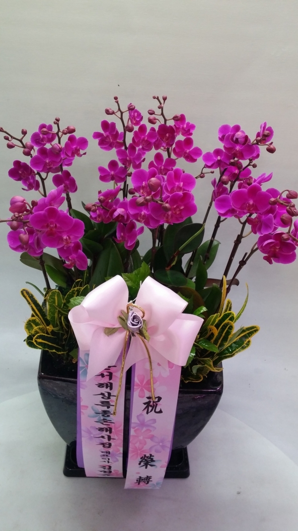 躴 