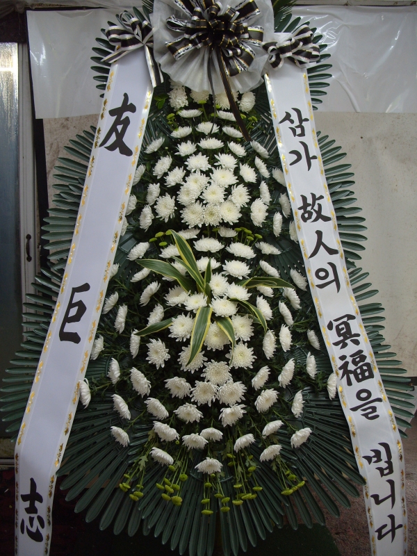 ڿ뱸 