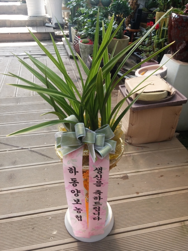 輺ö 