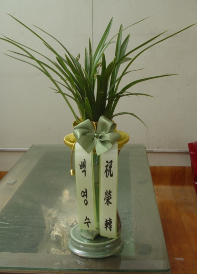 鿵 