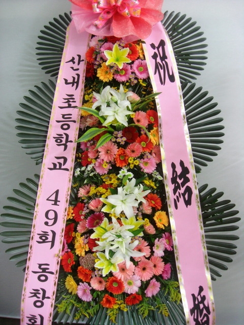곻 
