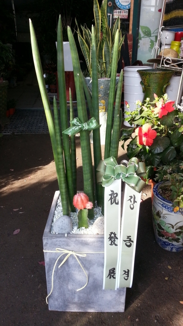 嵿 