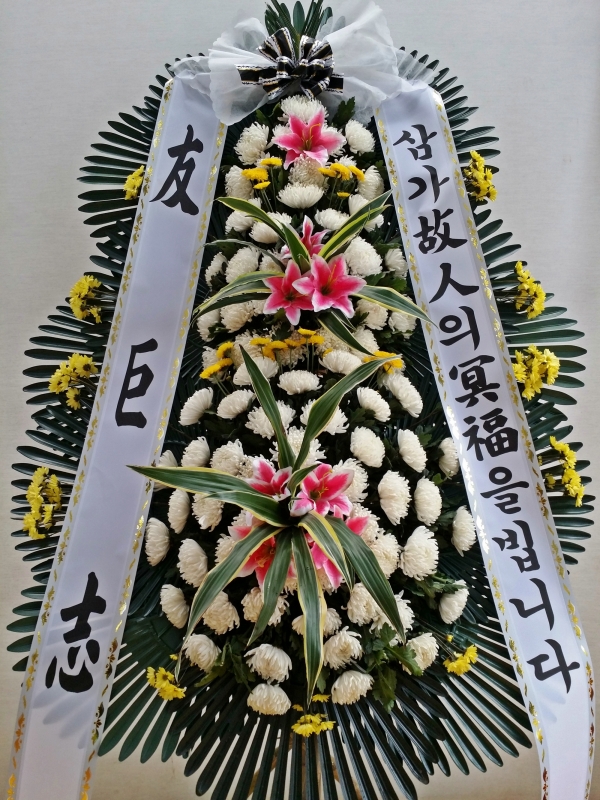 ڿ뱸 