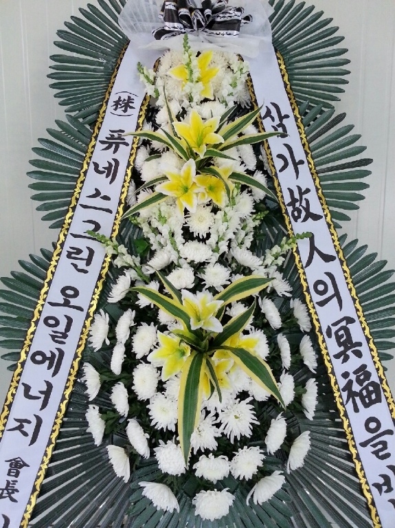 ɿ쿵 