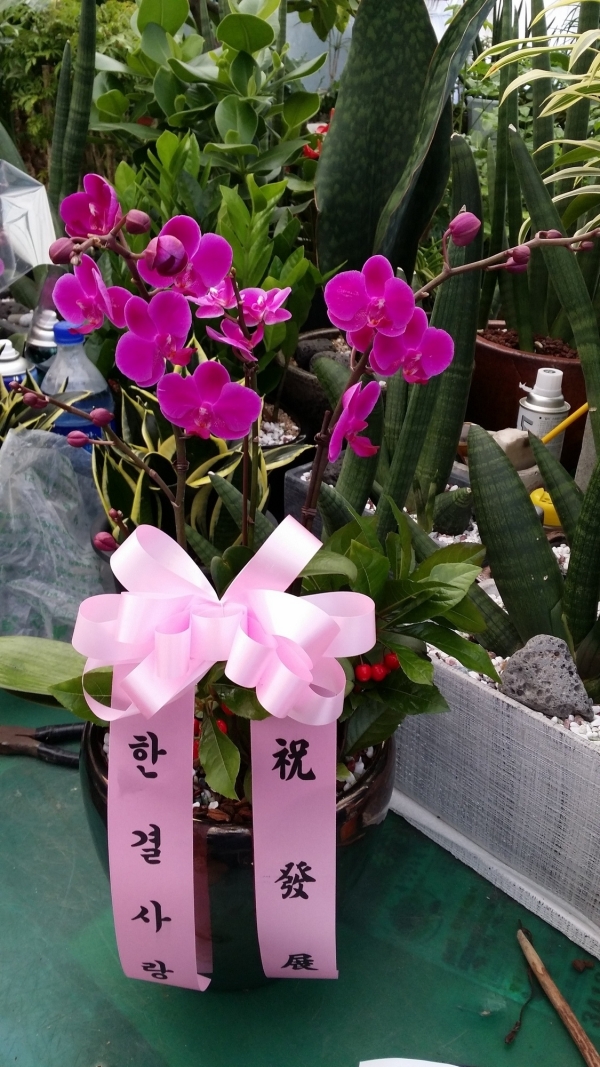 輱 