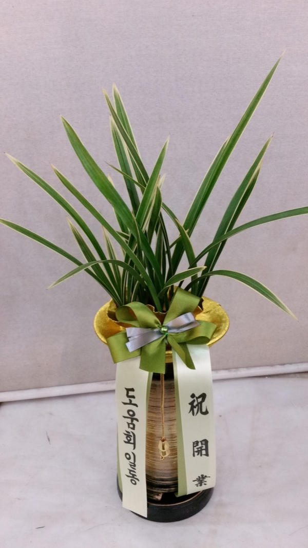 躸 