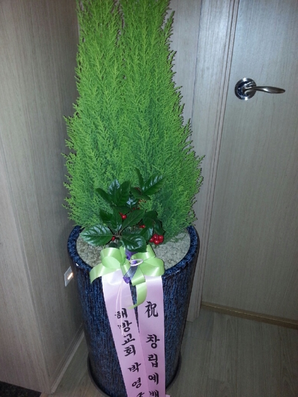 ع汳ȸ 