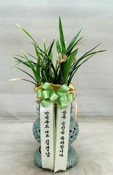 泲 