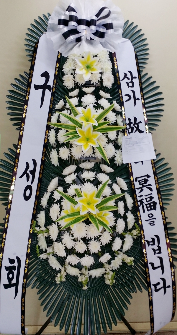 ȸ 