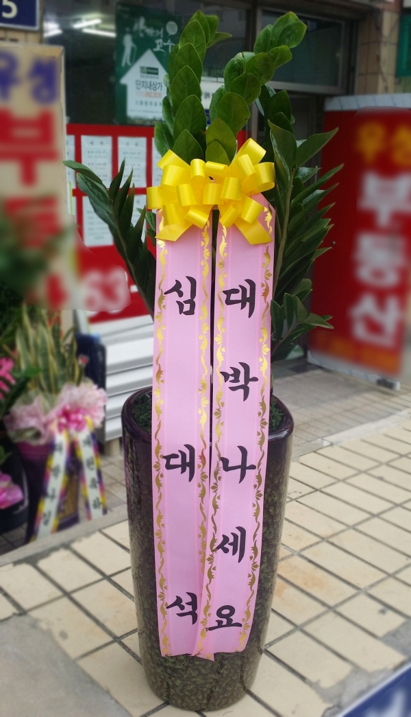 ɴ뼮 