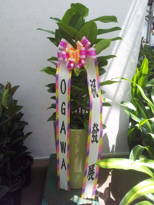OGAWA 