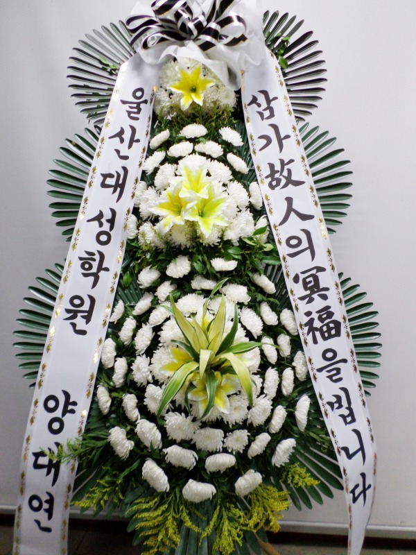 뿬 