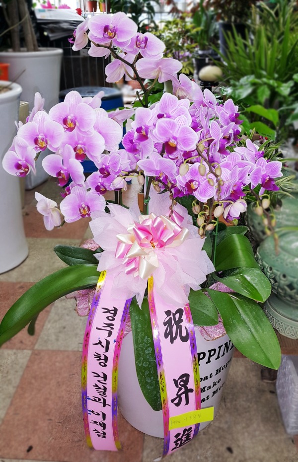 缷 