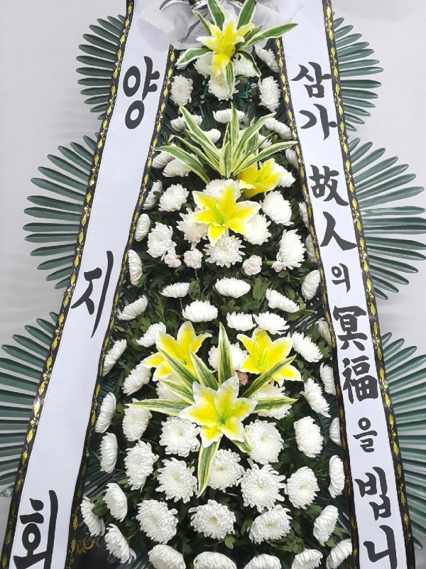 ȸ 