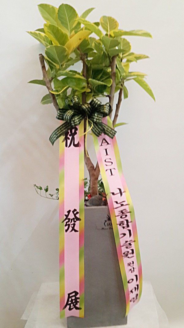 翵 