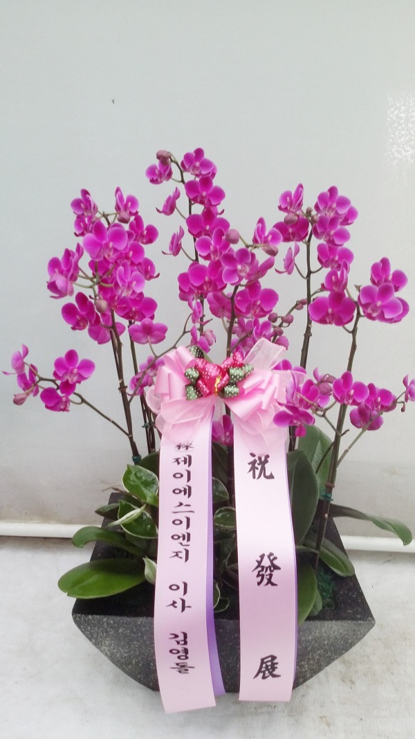 迵 