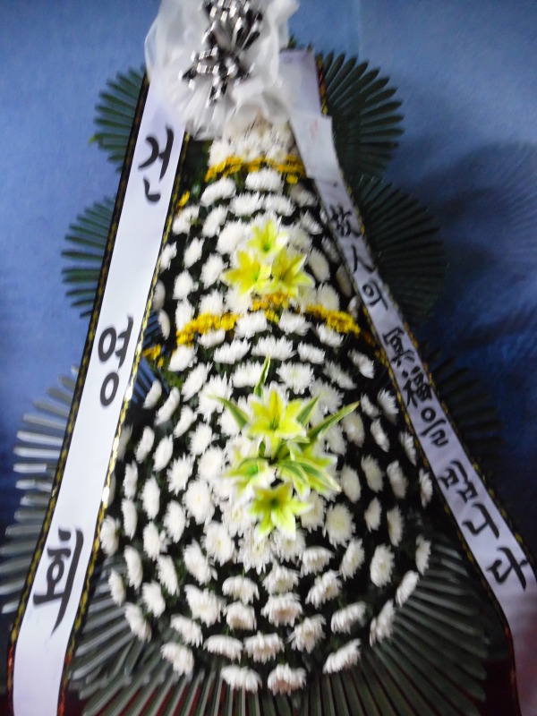 ǿȸ 