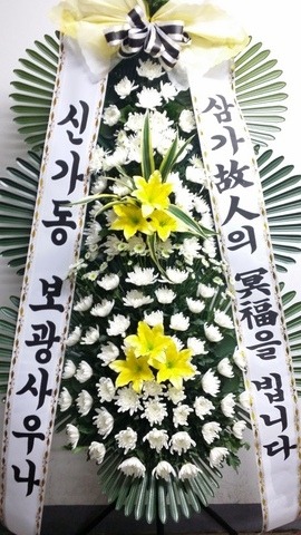 쳪 
