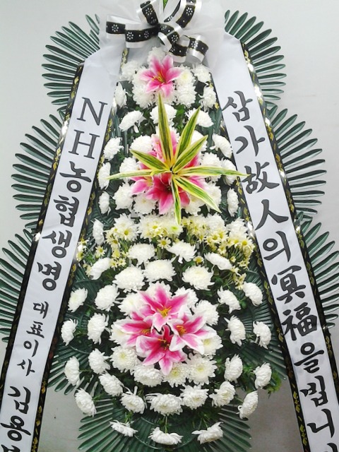 뺹 
