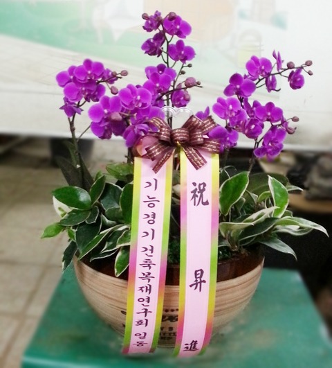 翬ȸ 
