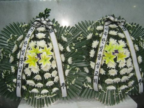 ȸ 