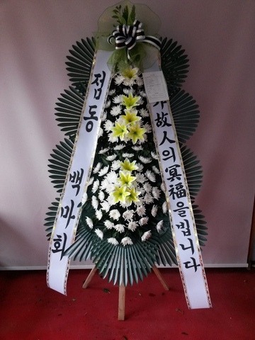 鸶ȸ 