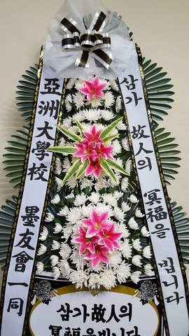 ȸ 