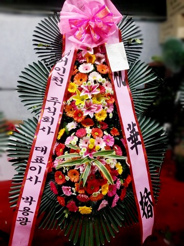ڿ뱤 