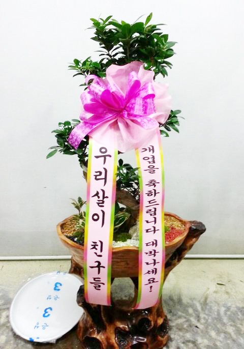 츮 