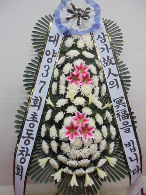 絿âȸ 