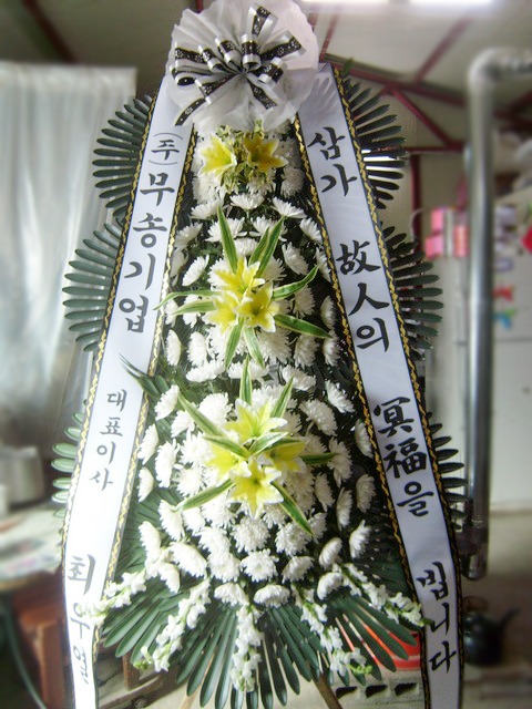 ֿ쿭 