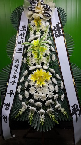 캴 
