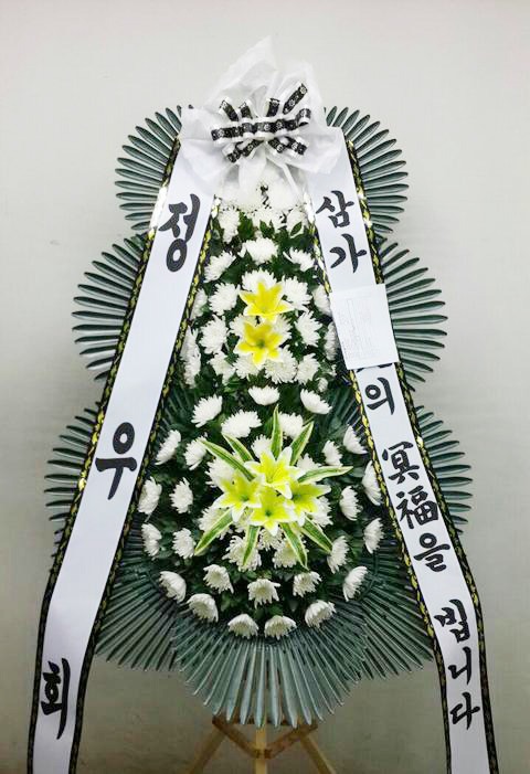 ȸ 