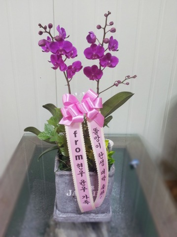 ,찡 