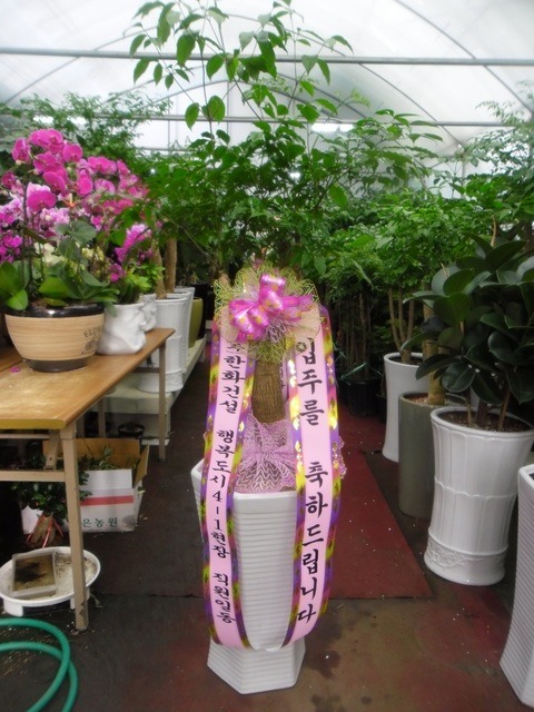 ູ 