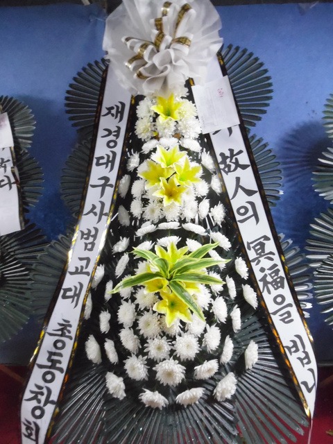  âȸ 