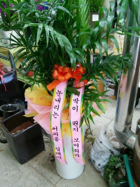 뼱 