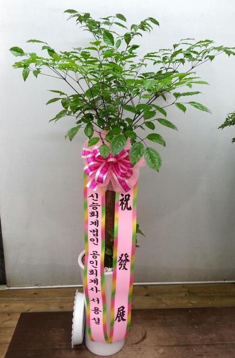 뼳 